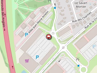 Carte de Maxi Zoo à Thillois