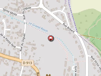 Carte de Answer à Saint-pierre-lès-elbeuf