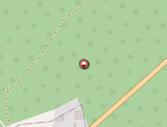 Carte de Solmur à Saussaye (la)