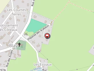 Carte de Mutel Denis à Blay