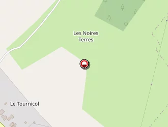 Carte de Ostrowski Céline à Mancieulles