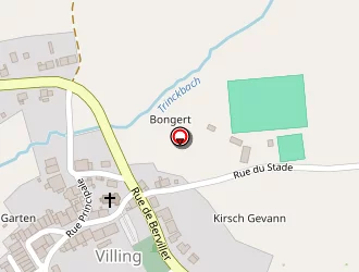 Carte de Taxi Gebhard Frédéric à Villing