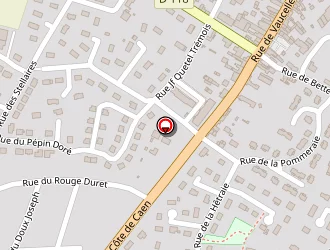 Carte de Intermarché à Pont-l'évêque