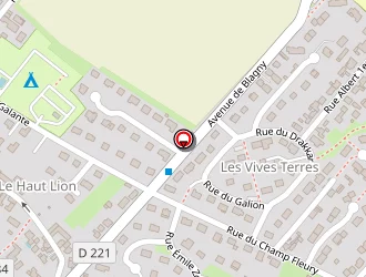 Carte de Regnard Vincent à Lion-sur-mer