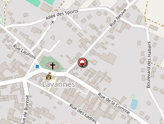 Carte de Masson Thierry à Lavannes