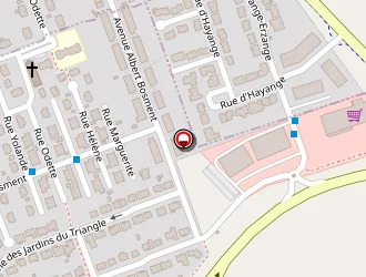 Carte de Silver à Fameck