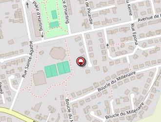 Carte de Profil Laser à Florange