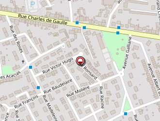 Carte de Bibliothèque à Serémange-erzange