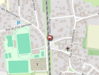 Carte de Taxi Marc à Chamant