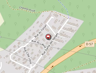 Carte de Errico Loïc à Neufchef