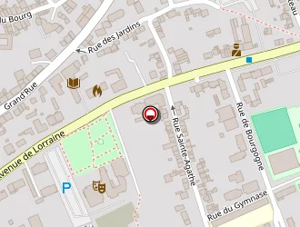 Carte de Brochier Franck à Florange