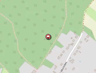 Carte de Chaumard Corinne à Cinqueux