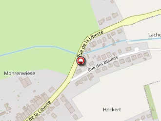 Carte de Engeldinger Roland à Stuckange