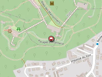 Carte de Wagner Alain Services à Illange