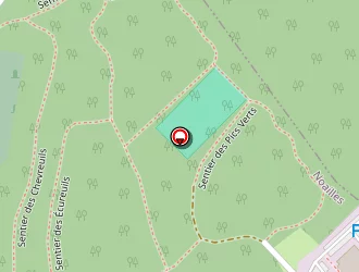 Carte de Aldo Bucci à Noailles