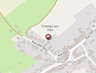 Carte de Taxi Soler Patrick à Lommerange