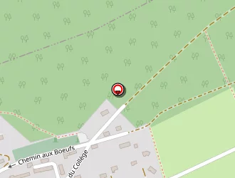 Carte de Total Services à Pont-saint-pierre