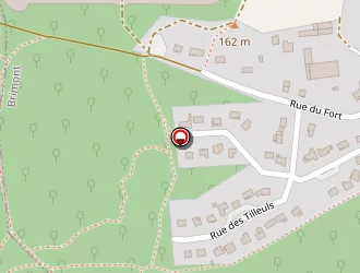 Carte de Boudesocque Michel à Brimont