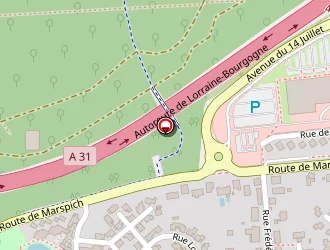 Carte de Fuss Nicolas à Terville