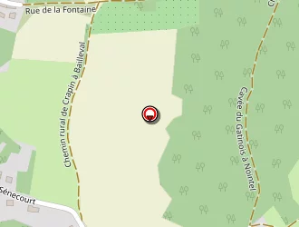 Carte de Sintier Dominique à Bailleval