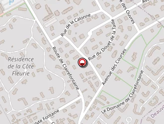 Carte de Carrefour Market à Tourgéville