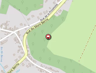 Carte de Bourgois Delphine à Pierrefonds