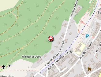 Carte de Issaadi Mustapha à Algrange