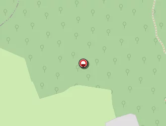 Carte de Reflets D'intérieur à Valmestroff