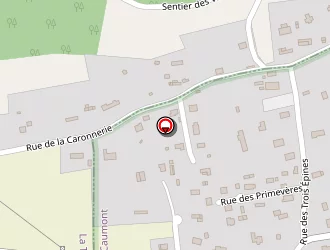 Carte de Chevrier (boris) à Caumont