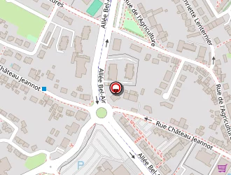 Carte de Scherrer à Thionville