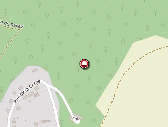 Carte de Nessler Frédéric à Montigny-lengrain