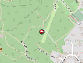 Carte de Durighello Paul à Thionville