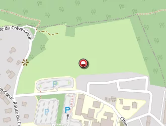 Carte de Mnh à Thionville