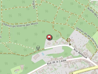 Carte de Caillot Virginie à Clermont