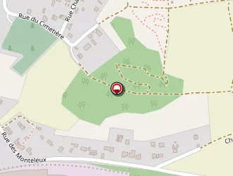 Carte de Pellegrin à Villeneuve-saint-germain