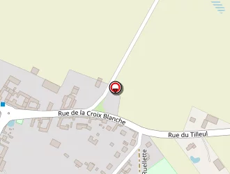 Carte de Zamia Fabrice à Grandfresnoy