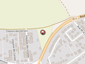 Carte de De Sousa David à Thionville