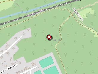 Carte de Pédésini Jean-pierre à Mercy-le-bas