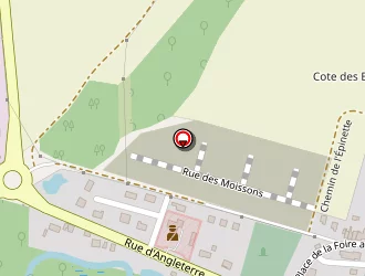 Carte de Arboriculture Et Paysage à Juniville