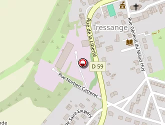 Carte de Damarin Mickaël à Tressange