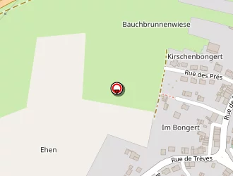 Carte de Nm Services (entreprise Individuelle) à Kœnigsmacker