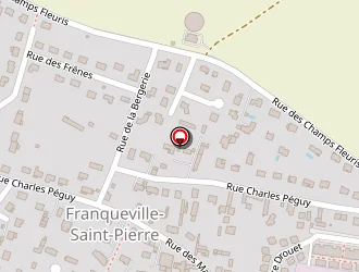 Carte de Electron 76 à Franqueville-saint-pierre