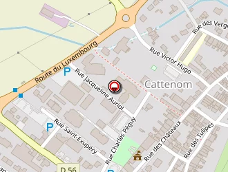 Carte de Urgence (services Locaux) à Cattenom