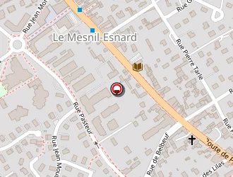 Carte de Bodyguard Pro à Mesnil-esnard (le)