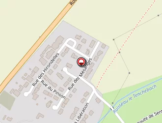 Carte de Butterfly Photo à Cattenom