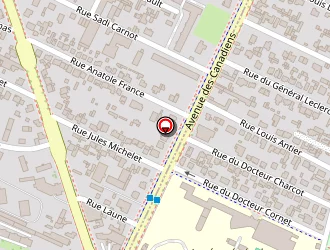 Carte de Céline Pasquet à Petit-quevilly (le)