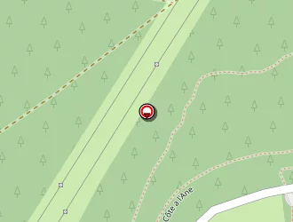 Carte de Coelho-pires Manuel à Quevillon