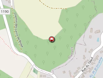 Carte de Mairie à Braye