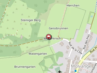 Carte de Auberge Du Moulin à Escherange