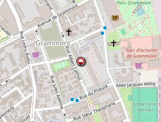 Carte de Régie De Quartier Grammont à Rouen